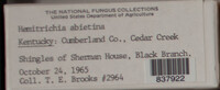 Image Associated With the Occurence